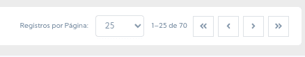 Paginador de Leads